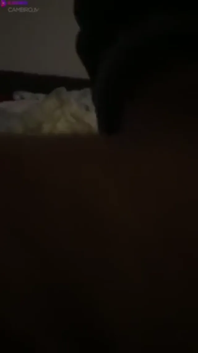 Danish Amateur Couple Sextape