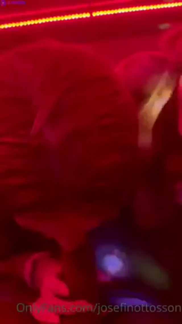 Josefin Ottosson x Kattpaow suger kuk