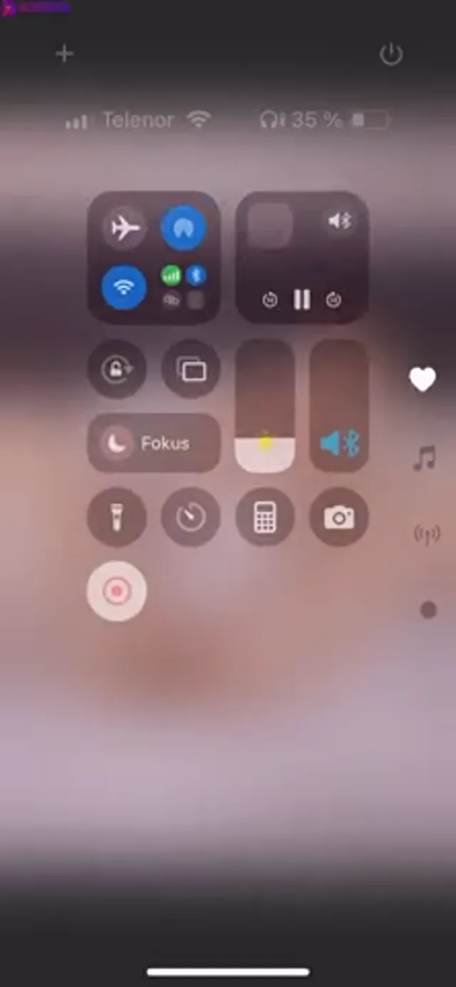 Norwegian Linn woynes