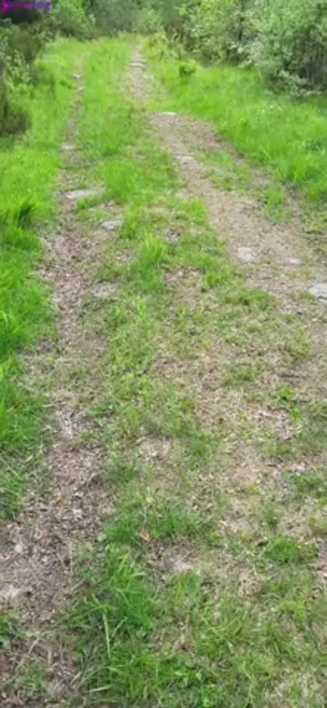 Mounting_myrtle on the mountains fucking herself with dildo and fist herself