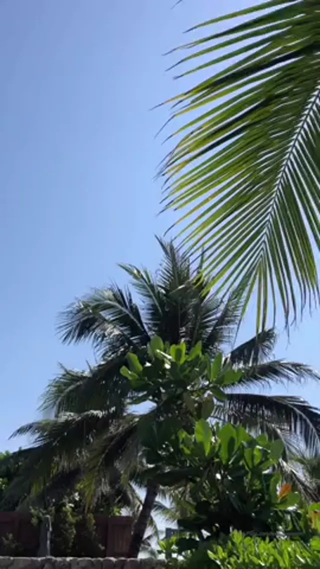 NxtObsession Naked In The Outdoor Swimming Pool