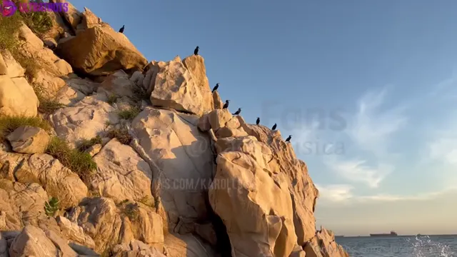 Ary Bloom Getting Pounded Hard Outdoors