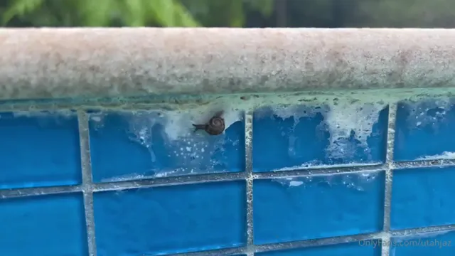 UtahJaz Gives Blowjob In Outdoor Pool