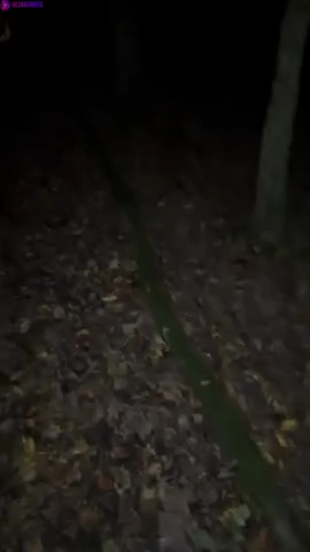 Tiffany Leiddi – Busty College Slut Sucks and Fucks BWC