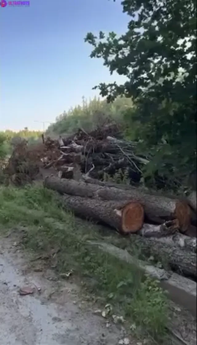 H0n3yb4b3sug4rpii3 sextape in cave