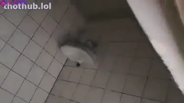 Slut Caught Riding Strangers Dick in Bathroom