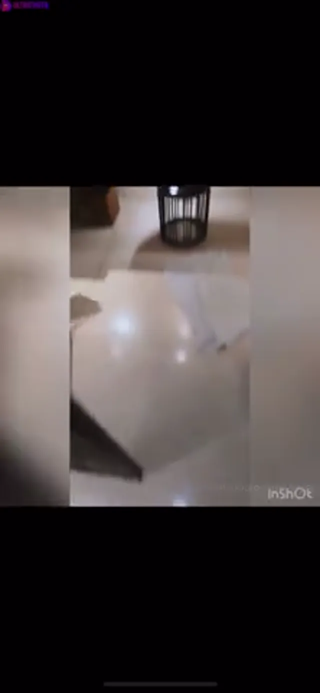 Caroline Nitter fucked in the bathroom