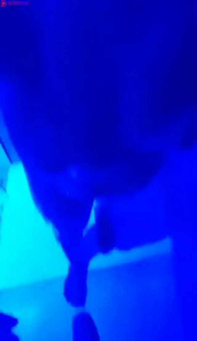 Swedish Asian Wife Giving Blowjob