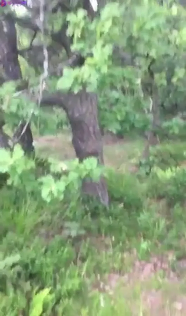 Nerdy Swedish Girlfriend Giving Blowjob in Public