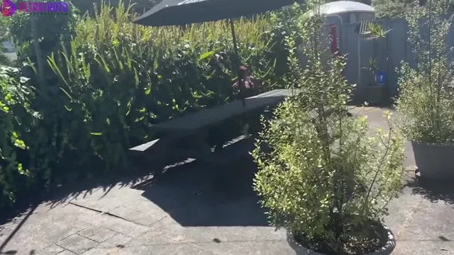 Miaz1234 – Short Indian Slut Gets Fucked And Creampied on First Date