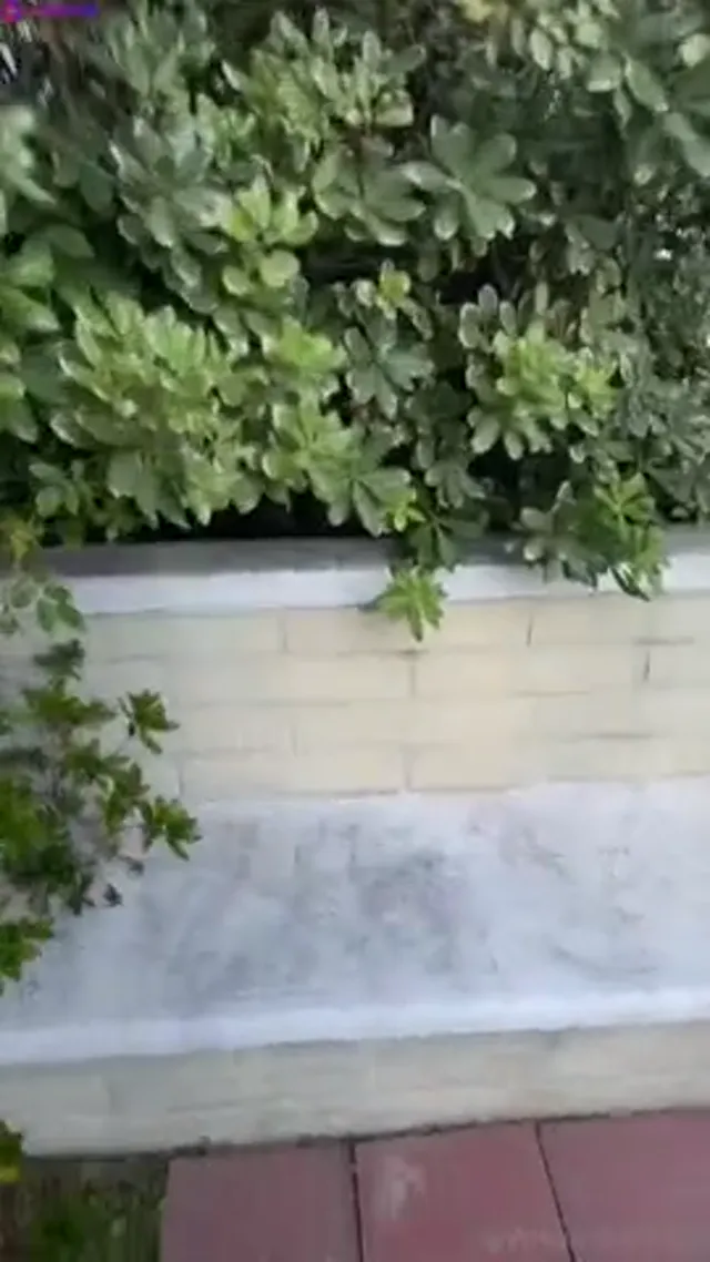 Hannah Jo – Hot Doggystyle in Pool