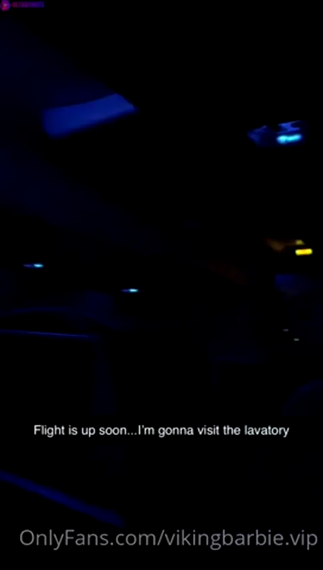 Vikingbarbie on the Airplane
