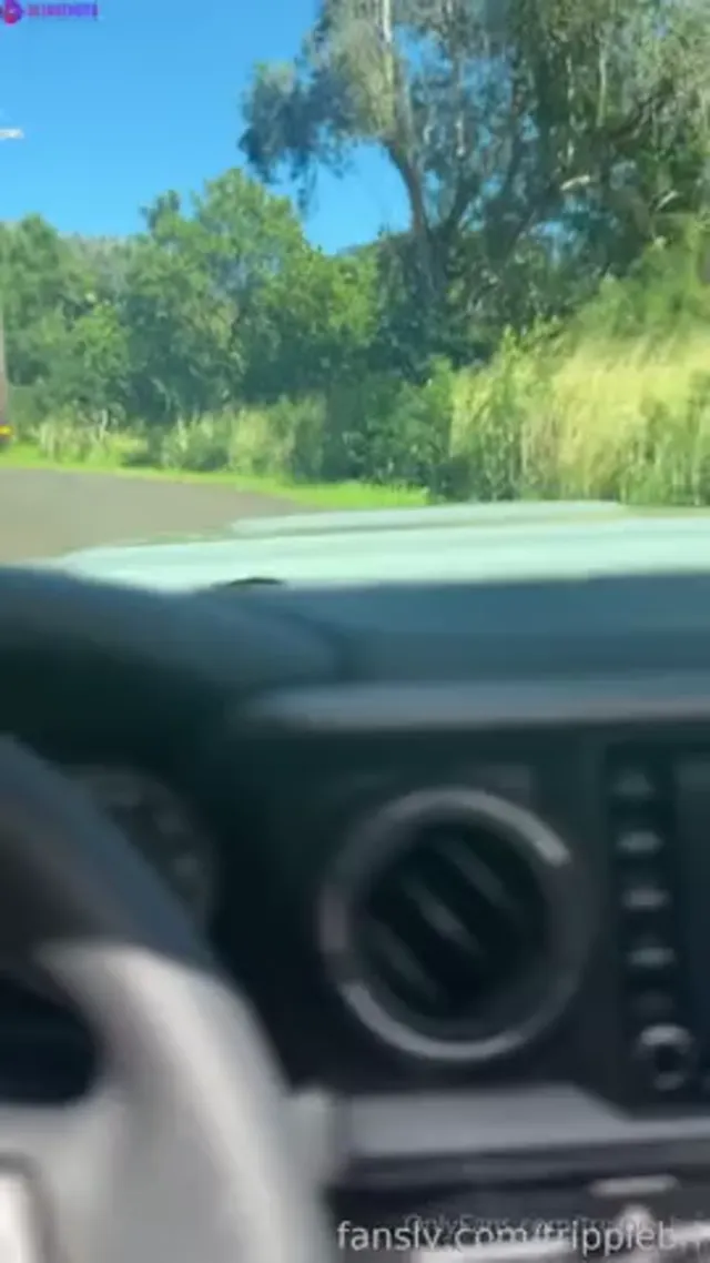 Trippie Bri – Door Dash Sextape