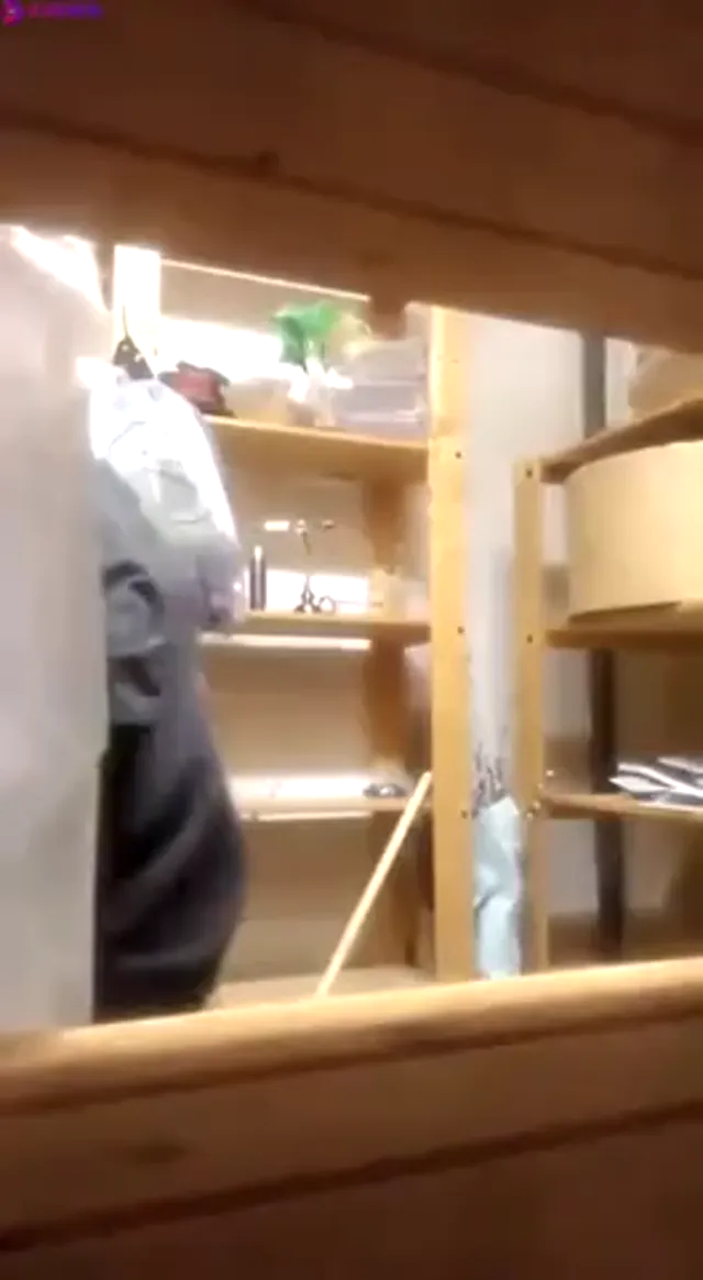 Swedish Coworker fucking in closet