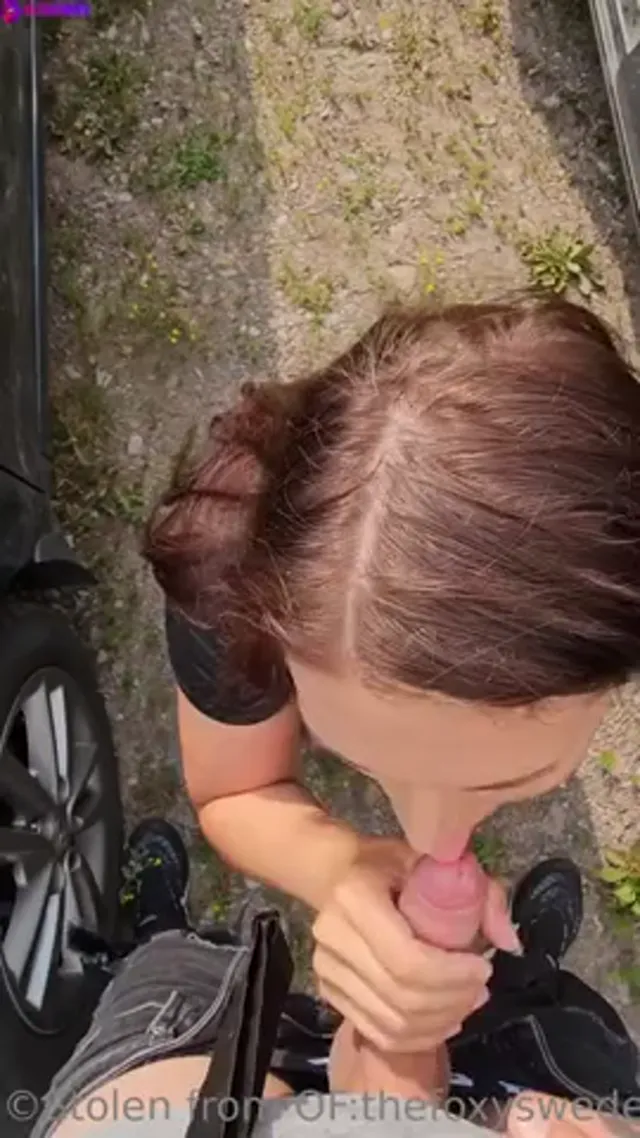 Swedish Foxy Milf Giving Risky Outdoor Blowjob