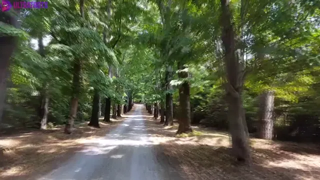 Natalie Lee With Nude Friends Behind The Scenes