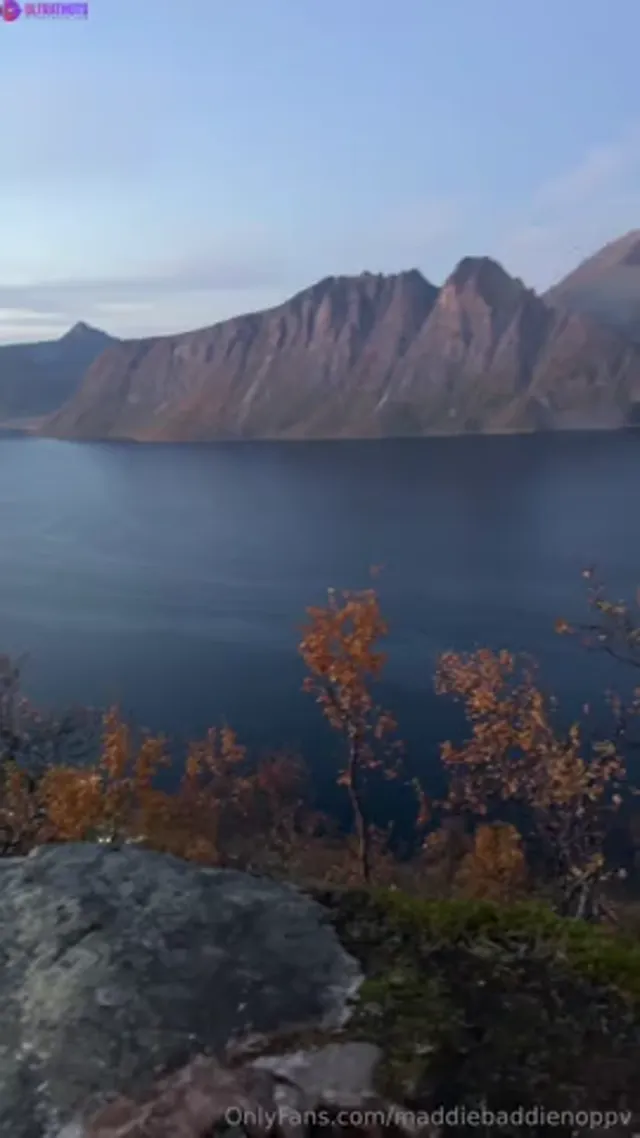 Maddiebaddie outdoor doggy