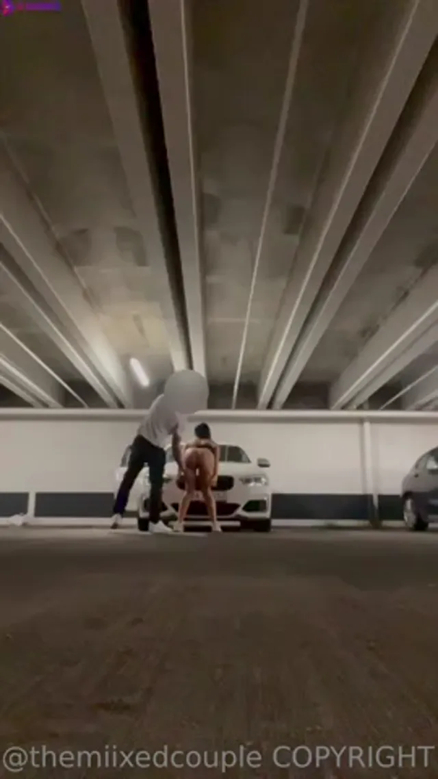 Danish jasmiinsecrets elevator sex (themiixedcouple) – Danish Arab