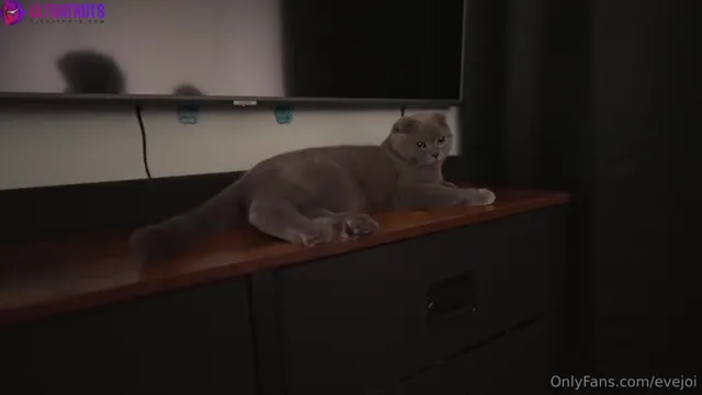 Evejoi – Natural Girlfriend Gets Impregnated by Big Creampie