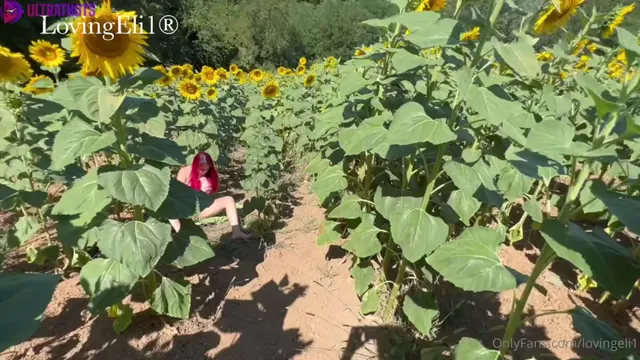 Lovingeli1 Outdoor Blowjob With Facial POV