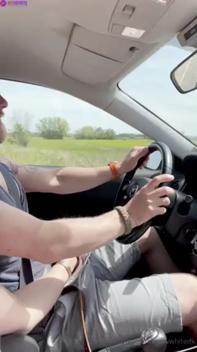 SnowWhiteDK – driving a car with a stick