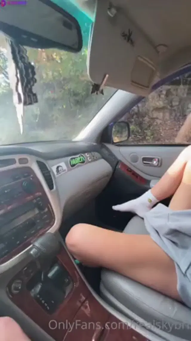 Sky Bri car fuck