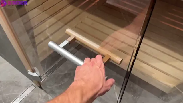 Lena Polanski – Hard Anal Sex in Sauna