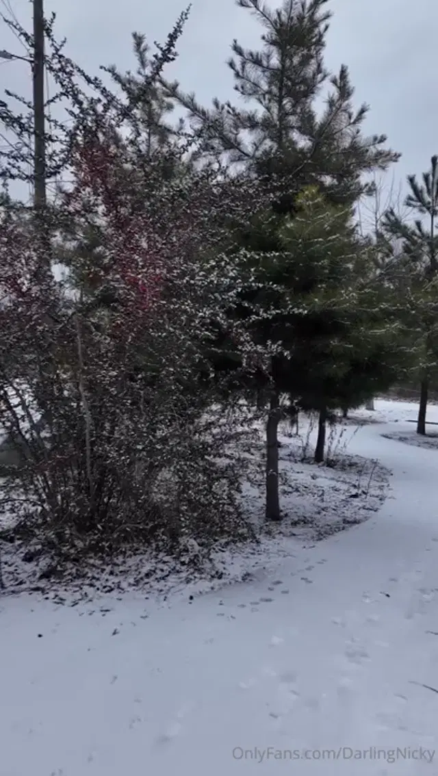 Darling Nicky aka darlingnicky – 01-22-2025 OnlyFans Video – How I spent yesterdays snow day