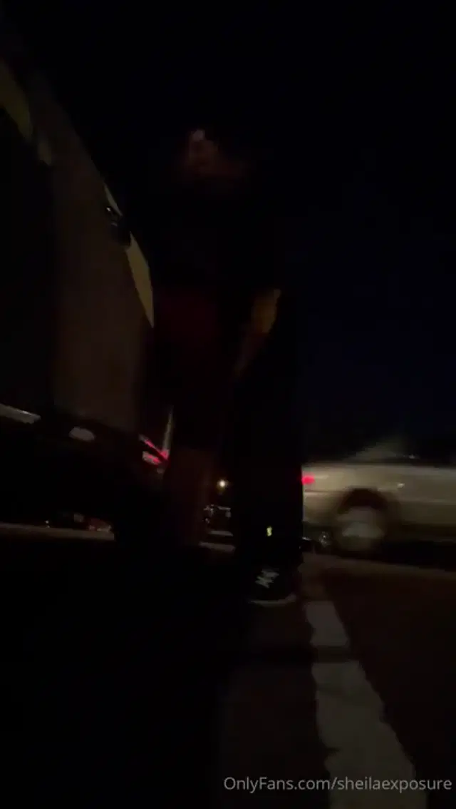 Sheila Exposure aka sheilaexposure – 05-27-2024 OnlyFans Video – After leaving the bar he pinned me against my car