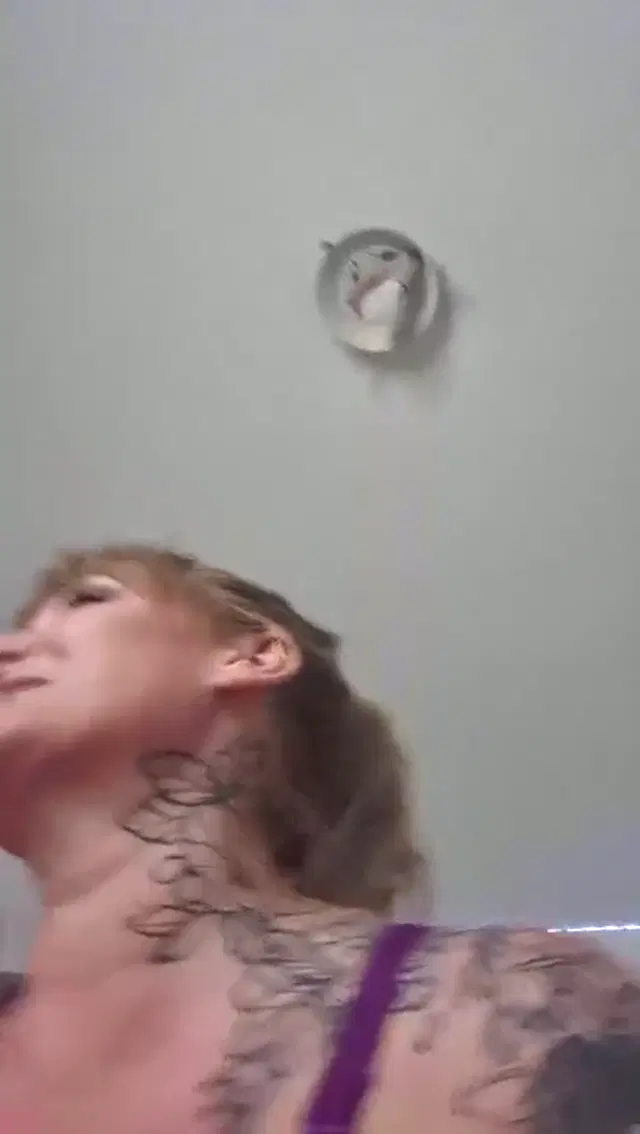 AlexxaVice aka alexxavice – 04-30-2025 OnlyFans Video – Stream started at 04302025 0847 pm