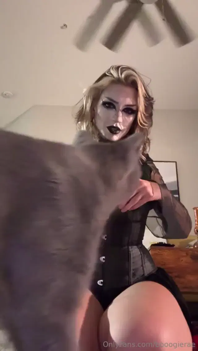 Boogie Rae aka booogierae – 10-08-2025 OnlyFans Video – I was trying to have my sexy undressing moment and Taro decided to steal the spotlightbut