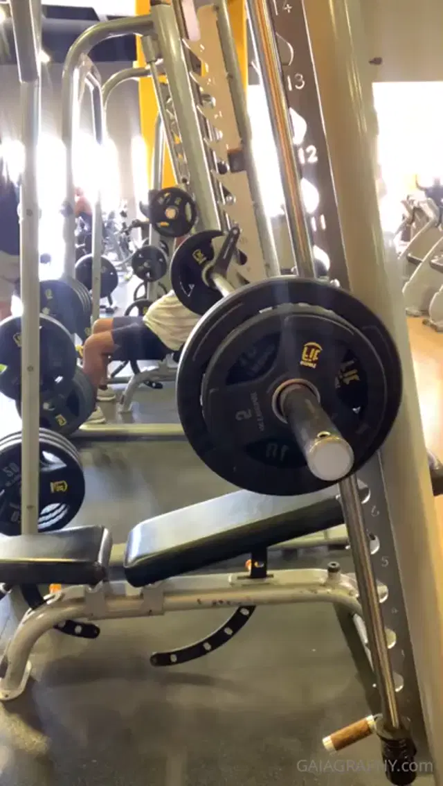 Professor Gaia‍ aka professor_gaia – 02-17-2025 OnlyFans Video – GYM, MY GLive Gym Workout 10AMish ESThttpsyoutube_i8zt