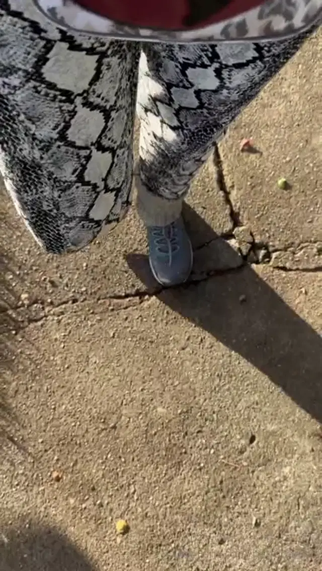 Petra Daniels aka petradaniels – 10-29-2024 OnlyFans Video – my new runners have so much bounce ,i just love them so far