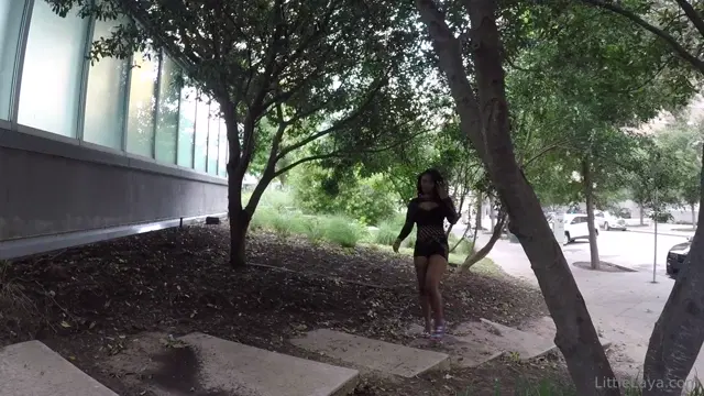 Little Laya aka dalaiyaaa – 07-30-2024 OnlyFans Video – Walk in the Park Album_iknf