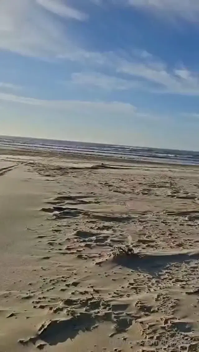Luh Rush aka luhxrush – 12-13-2025 OnlyFans Video – Leaked luhxrush 22801