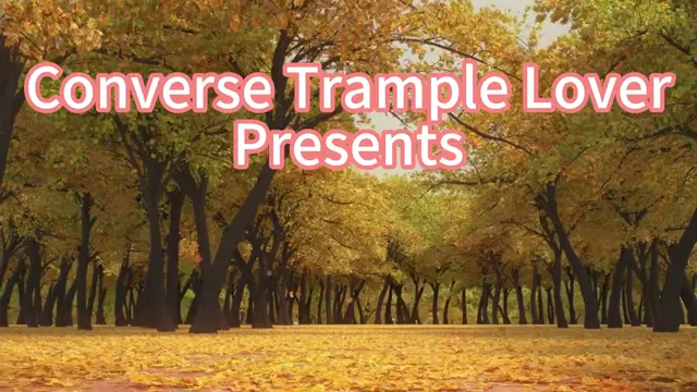 Converse Trample Lover – Uggs Still Hurts