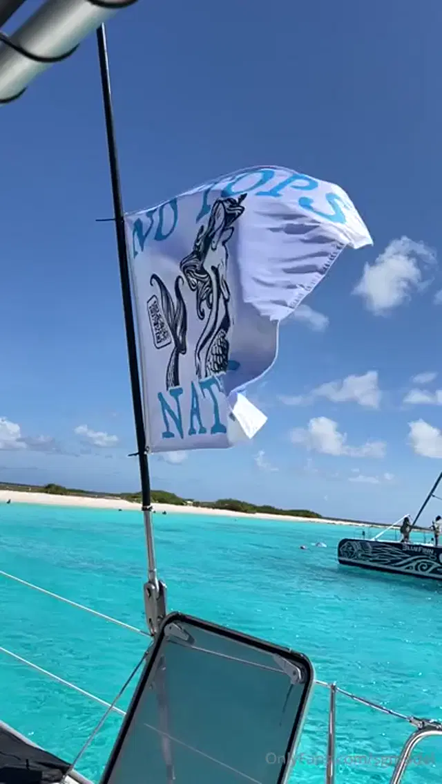 Sgulley aka sgmodel – 10-23-2024 OnlyFans Video – I was so honored they flew my flag on both boat charters