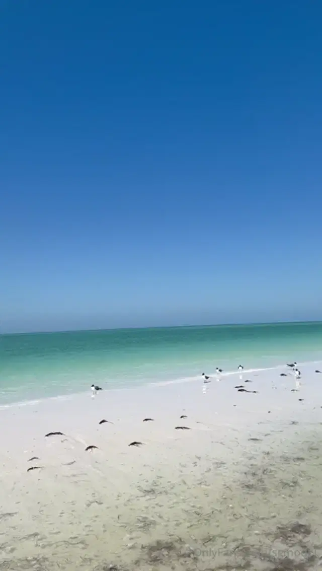 Sgulley aka sgmodel – 04-17-2026 OnlyFans Video – Finally!!! Isla de Gulley