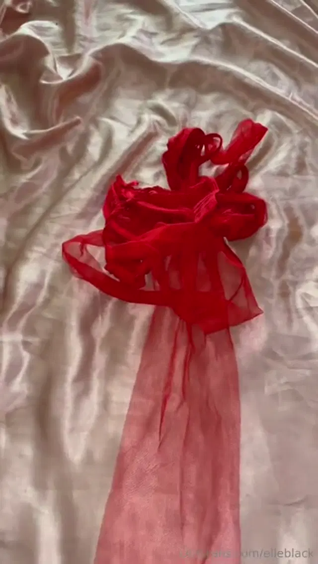 Yanni Maj aka yannimaj – 07-26-2024 OnlyFans Video – I Hope You Know What To Do With It