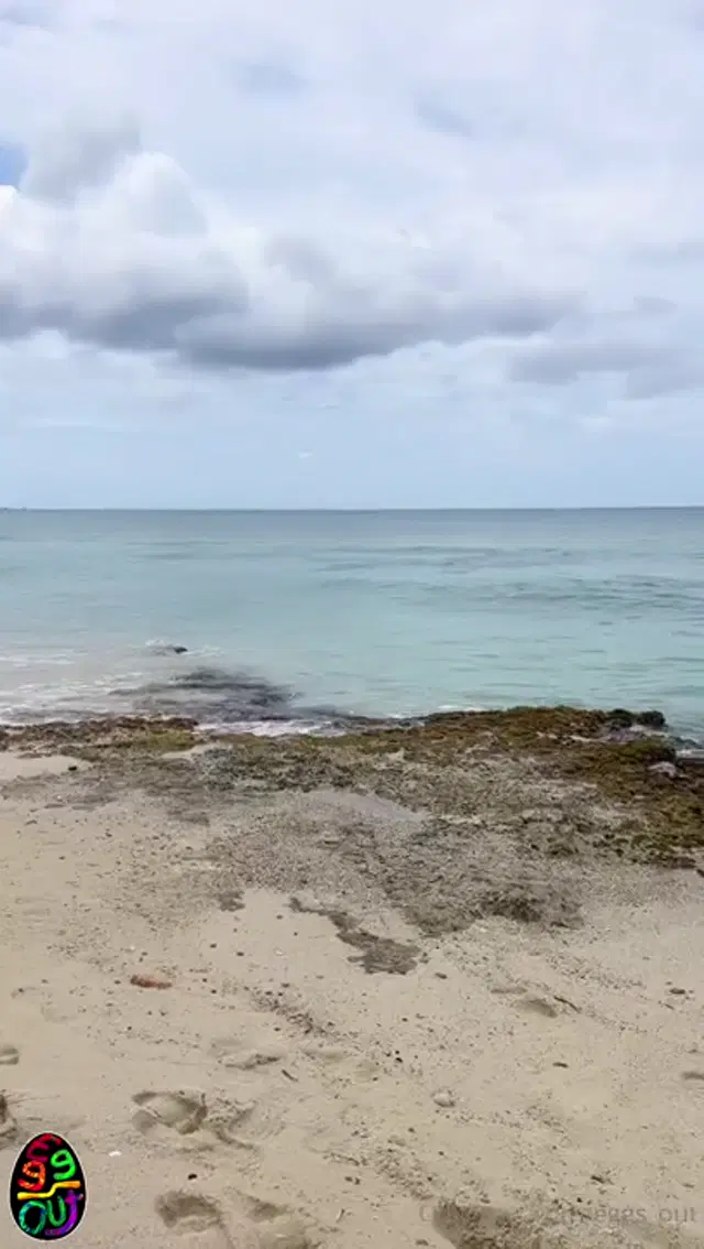 Julia eggsout aka eggs_out – 08-03-2024 OnlyFans Video – scopata in spiaggia